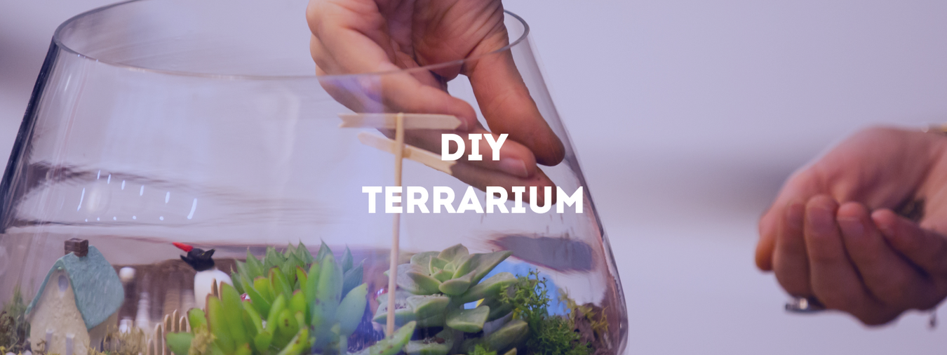 DIY Terrarium