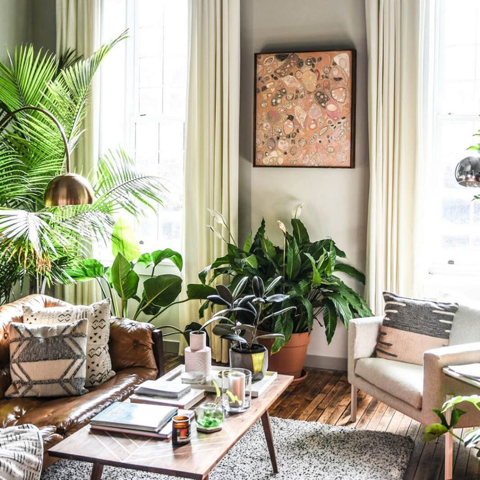 De ideale verlichting voor gezonde kamerplanten | Stera