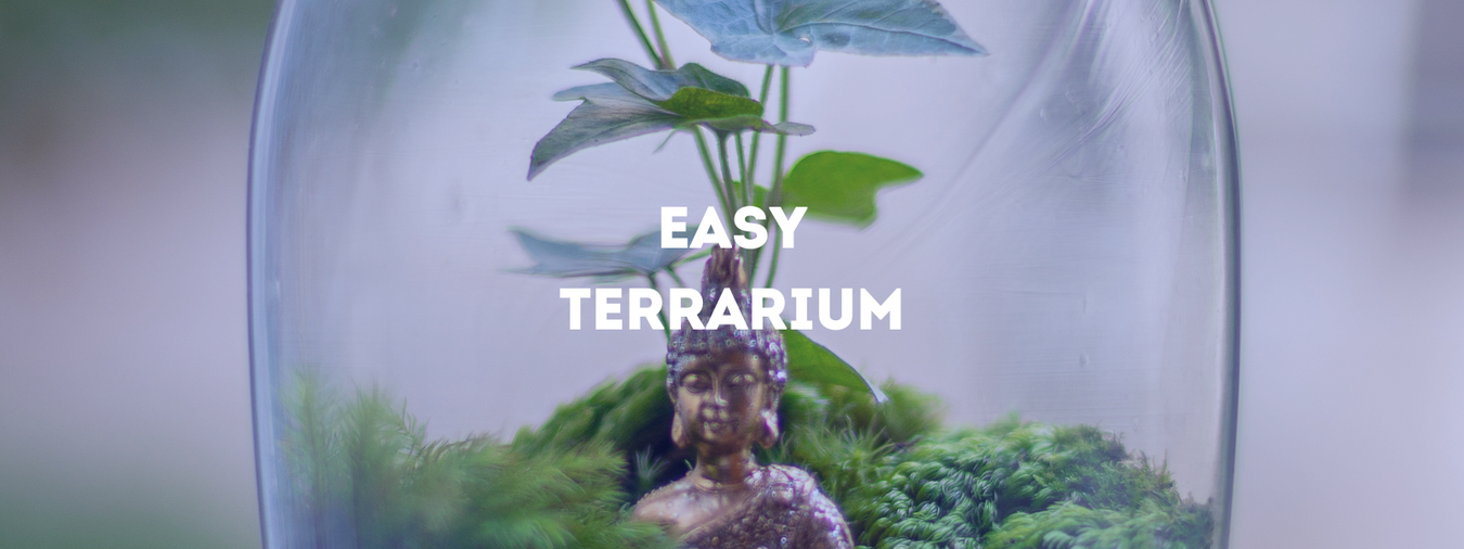 Easy Terrarium