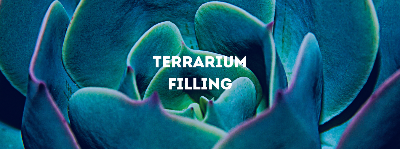 Terrarium Navulling