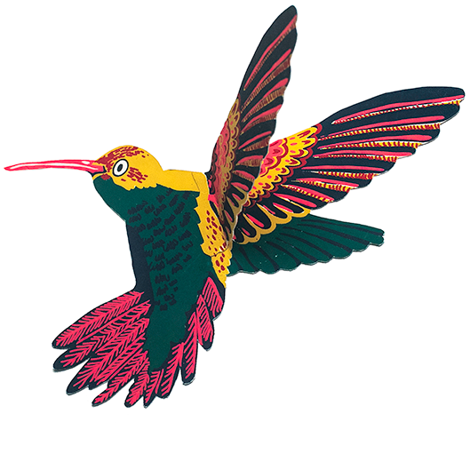 Hummingbird wenskaart