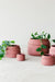 29,5 CHIVE brick - Stera