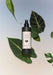 House Plant Aqua Leaf Cleanser, 200ml-Stera