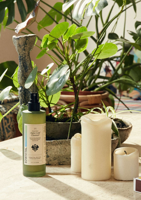 House Plant Aqua Leaf Cleanser, 200ml-Stera