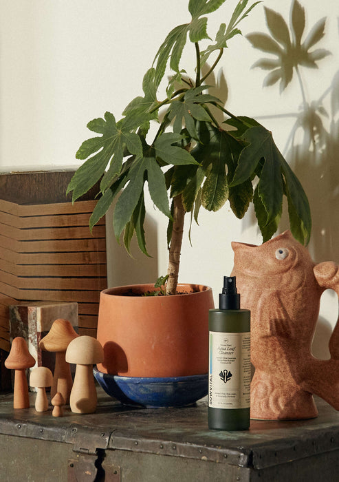 House Plant Aqua Leaf Cleanser, 200ml-Stera
