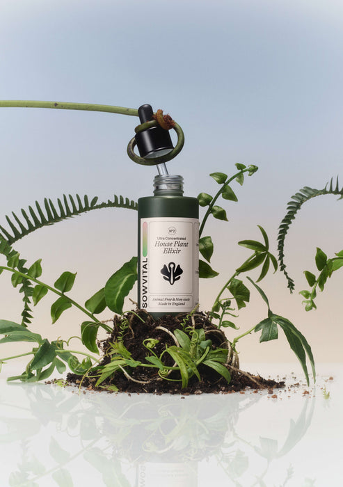 House Plant Elixir, 100ml-Stera