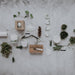 Moss Candle-Stera