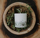 Moss Candle-Stera