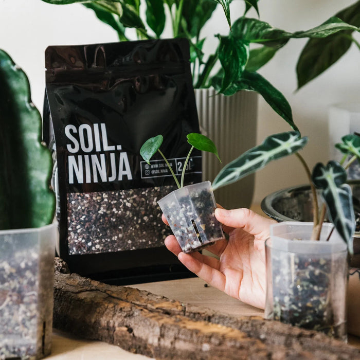 Semi-hydromix - 5L - Soil Ninja-Stera