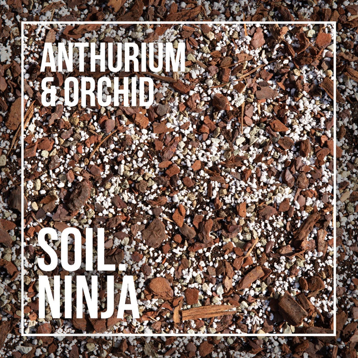 Anthurium Blend - 5 Liter - Soil Ninja