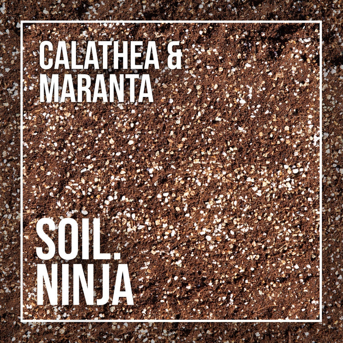 Calathea and Maranta Blend - Soil Ninja