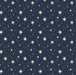Star Gazer | Starry Modern-Retro gerecycled cadeaupapier-Stera