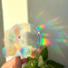 Sun Catcher Sticker - Bij met Monstera geldmasker | Room-Stera
