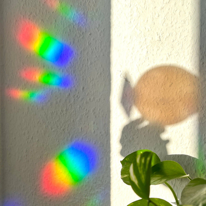 Sun Catcher Sticker - Bij met Monstera geldmasker | Room-Stera