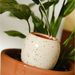 Trio Mini Ollas-Stera
