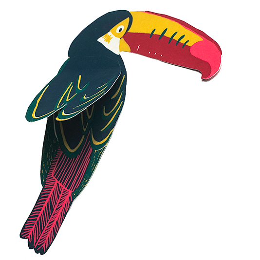 Toucan wenskaart