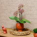Kolibri Orchids | oranje Phalaenopsis orchidee - Spider in Scandic terracotta - potmaat Ø9cm | bloeiende kamerplant - vers van de kweker - Stera