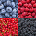 "Vruchtenparadijs" BIO Fruitplanten mix set van 4 verschillende soorten - Stera