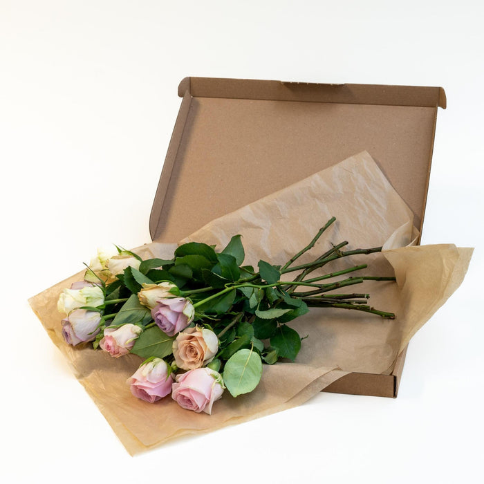 Letterbox Roses Sweet Pink | 35cm length - Stera