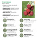 "Vruchten oase" BIO Fruitplanten mix set van 5 verschillende soorten - Stera