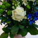 Bouquet Blue Monday X Vase Sandy - Stera