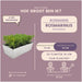 6 Rozemarijnplanten in deco bakje  | 6 x Ø7 cm | ↕15 cm | Rosmarinus offincalis - Old Look - Stera