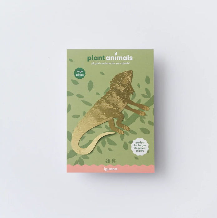 Plant Animal Iguana, large edition - Plant decor - Stera