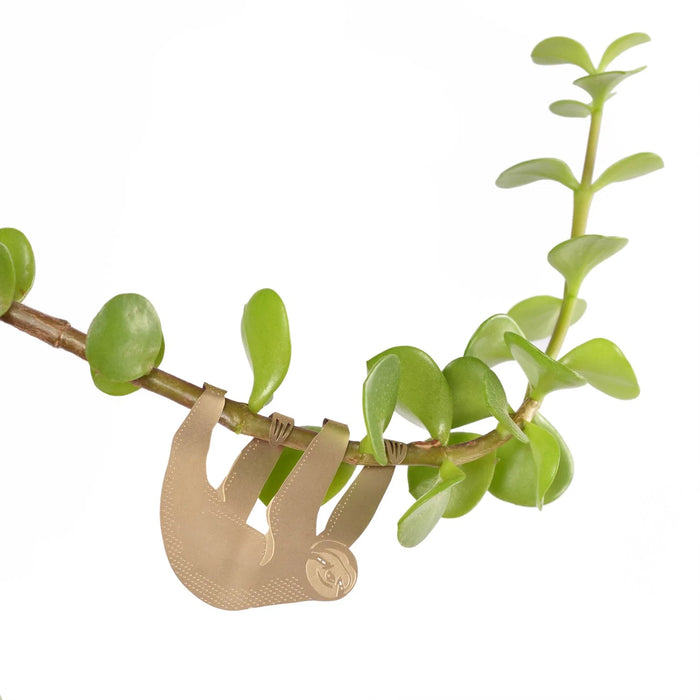 Plant Animal - Sloth houseplant decoration - Stera