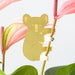 Plant Animal - Koala Bear - Stera