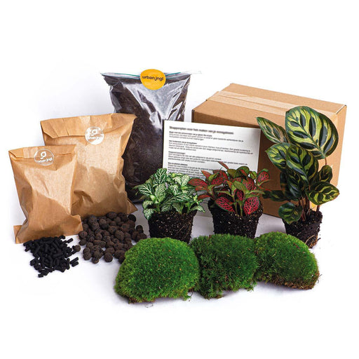 Planten terrarium pakket - DIY - Calathea Makoyana - Navulling & Startpakket - Stera