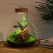 DIY terrarium - Sam Calathea met lamp - 30 cm - Stera