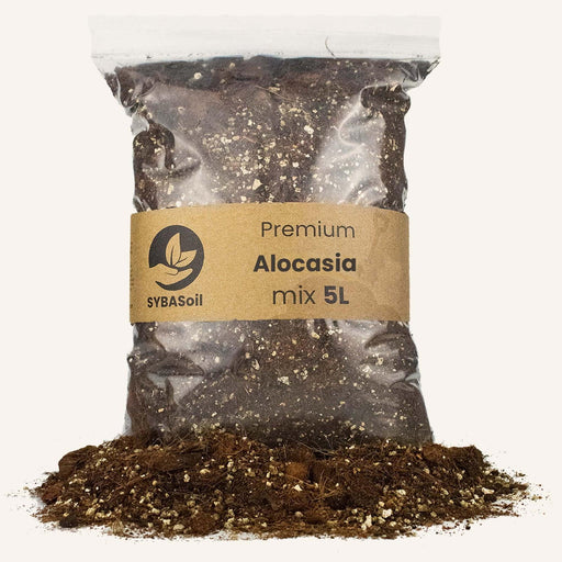 Alocasia mix 5L - Premium potgrond - Stera