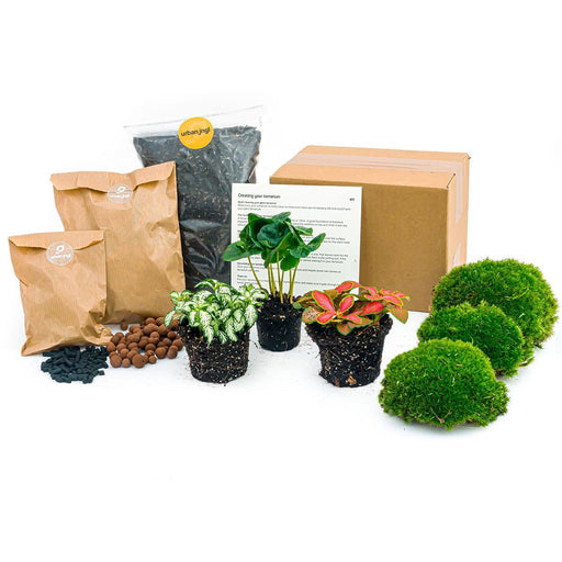 Planten terrarium pakket Coffea Arabica - Navulling & Startpakket- DIY - Stera