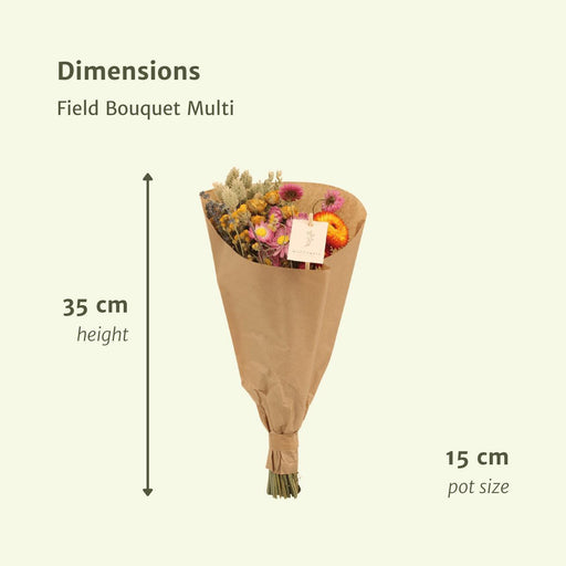 12x Field Bouquet Multi - Droogboeket - 35cm - Ø15 - Stera