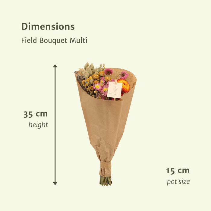12x Field Bouquet Multi - Droogboeket - 35cm - Ø15